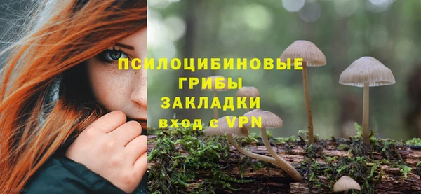 спиды Козловка